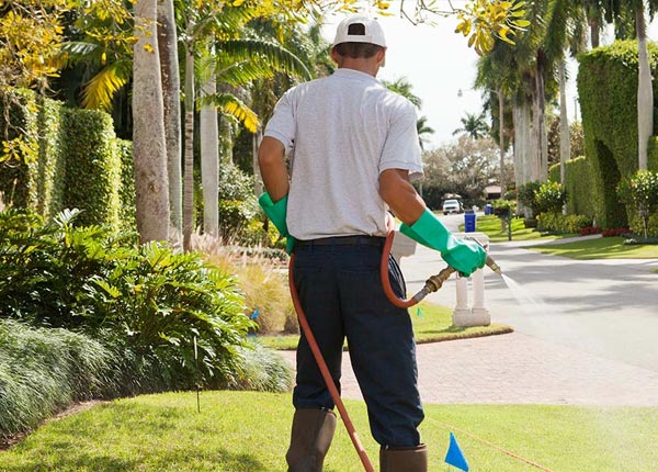 About Dickens TX Pest Control